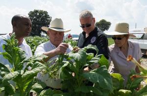 Kaptur Finds New 'Harvest of Shame' on N.C. Tobacco Farms